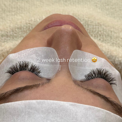 Black Lash Adhesive for Lash Artists | The Lash Crafters