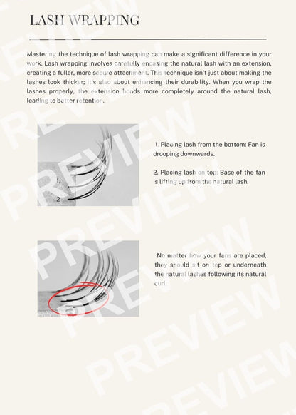 The Ultimate Guide for Lash Artists